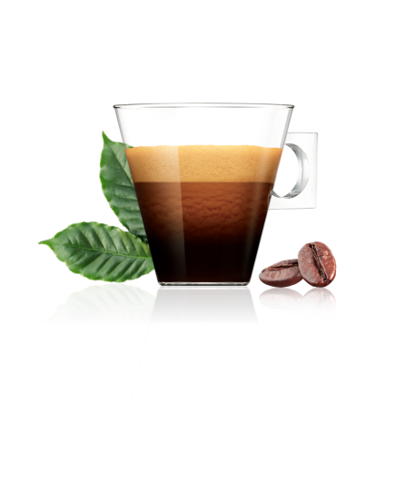 NDG Icon