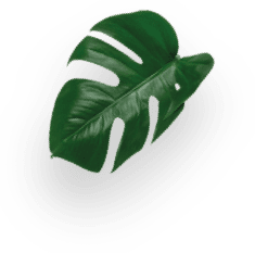 STARBUCKS&reg; ESPRESSO ROAST decoration Image